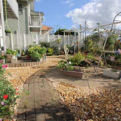 1-IMG_7984 1-IMG_7984